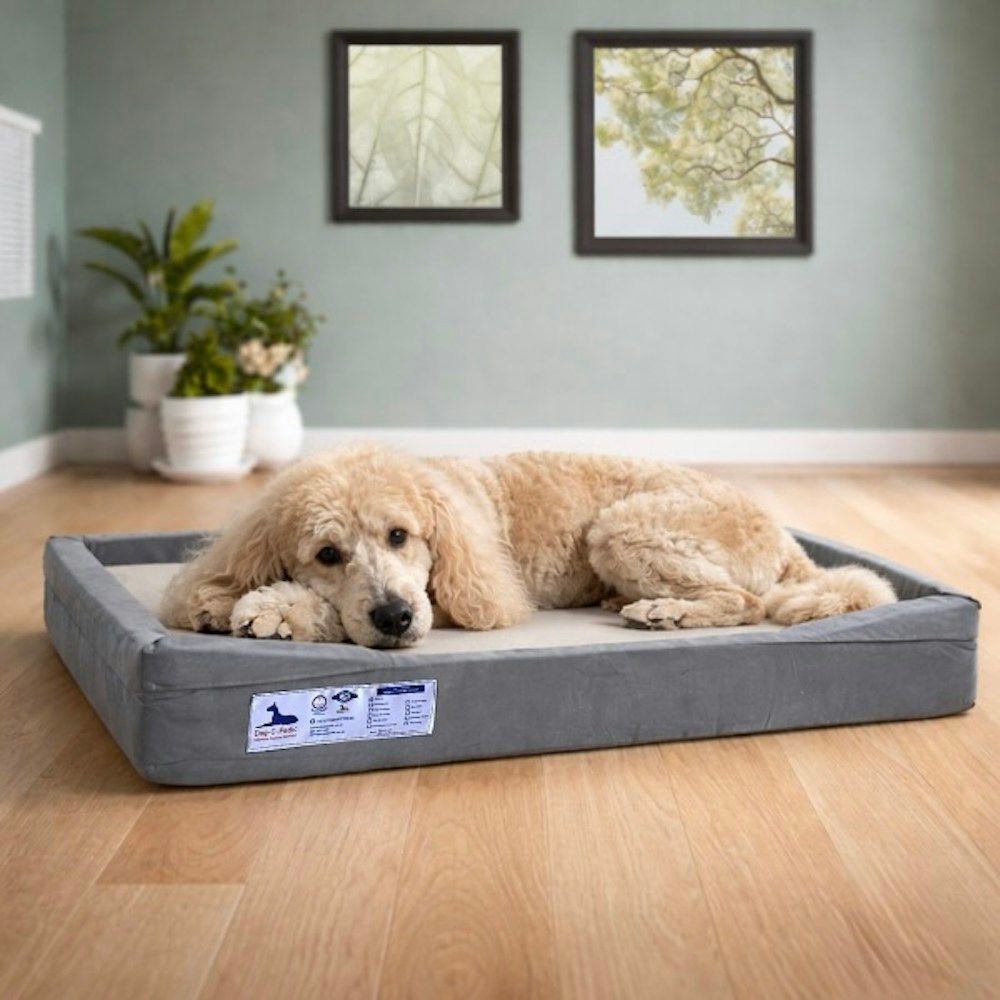 Latex Throne HD Foam Mattress