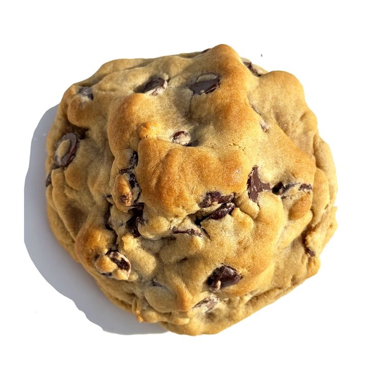 Chocolate cookie_0