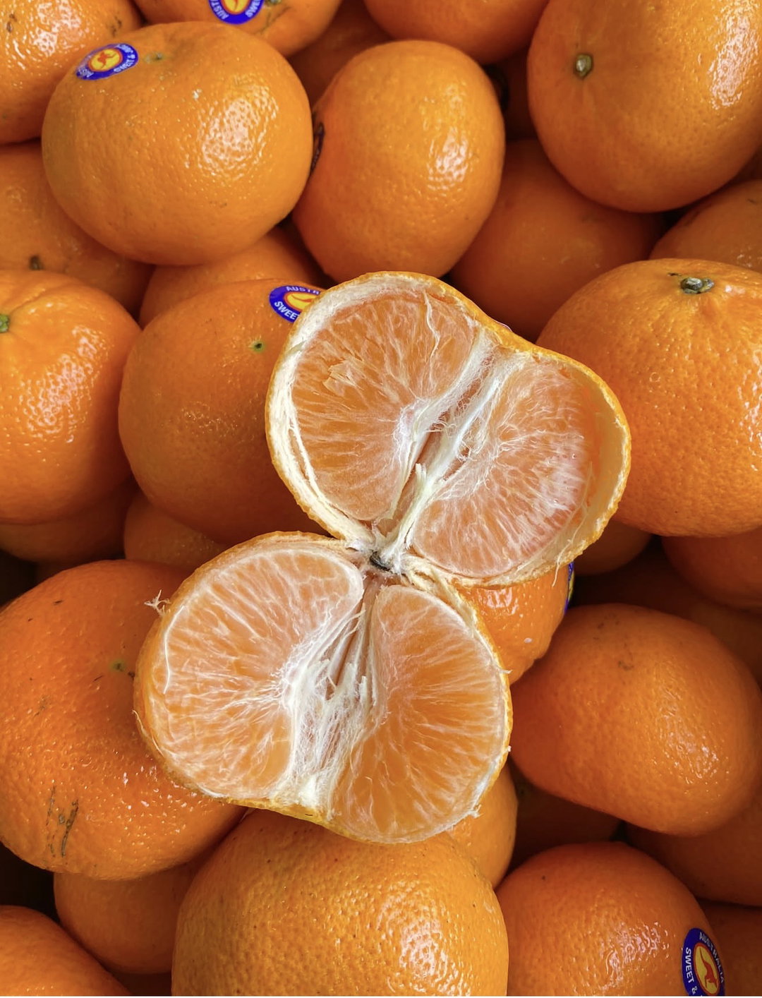 Imported Tangerines x 1
