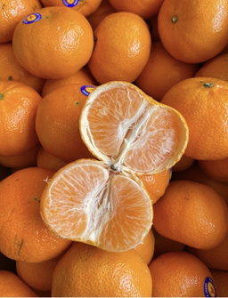 Imported Tangerines x 1