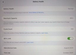 Apple iPad mini 7 A17 Pro – 256GB Wi-Fi – Blue – Batterie 95%