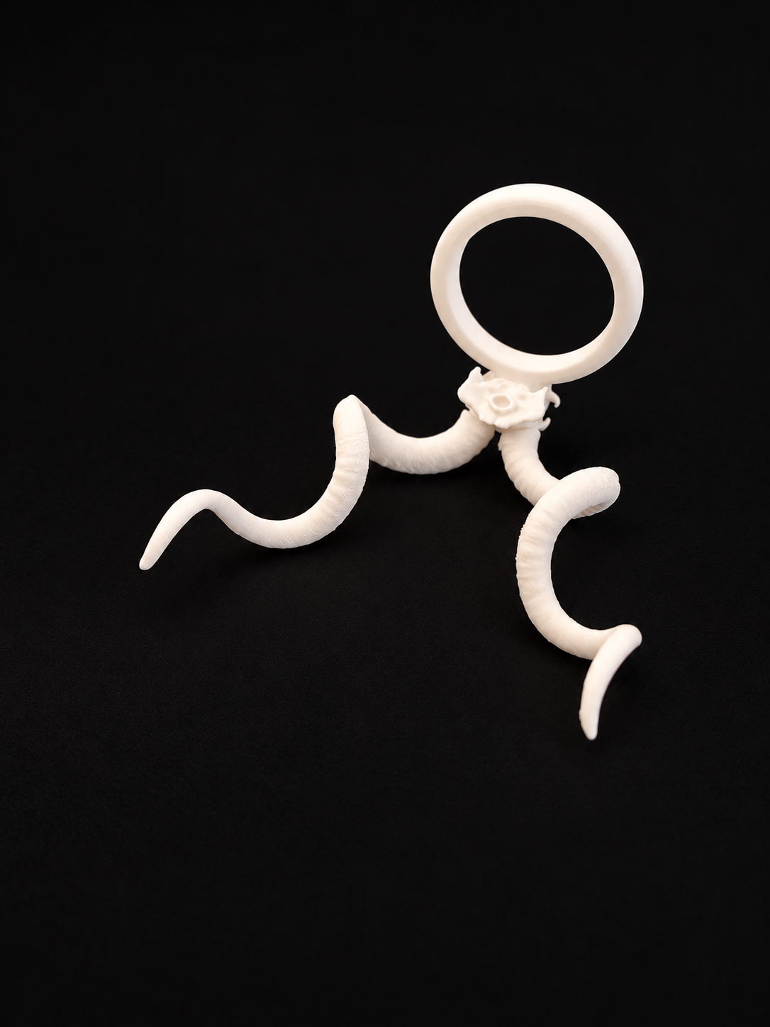 Budget Kudu Skull Napkin Ring sets of 10_3
