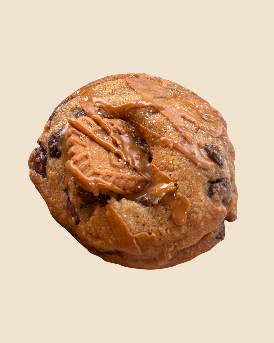Sea Salt Biscoff_0