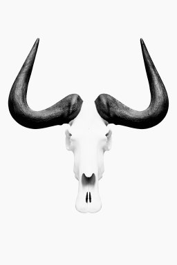 Budget Blue Wildebeest Skull Napkin Ring sets of 10  