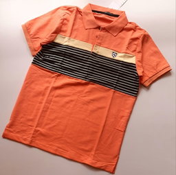 Men's PoloTshirts