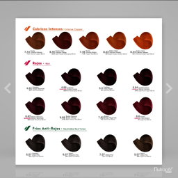 Tinte ColorTech