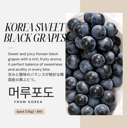 Premium Korean Sweet Black Grapes 머루포도 韓国産甘い黒ぶどう