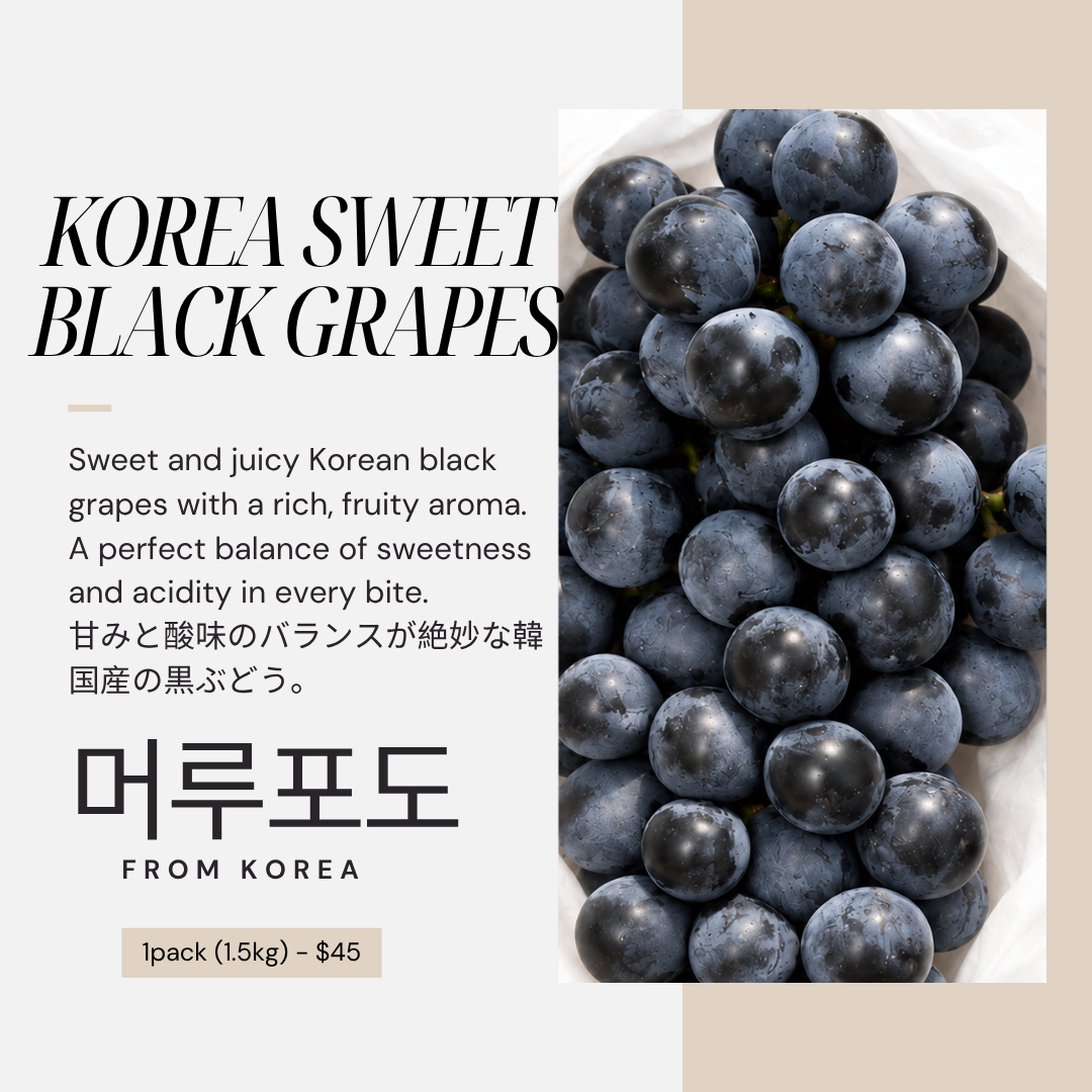 Premium Korean Sweet Black Grapes 머루포도 韓国産甘い黒ぶどう_2
