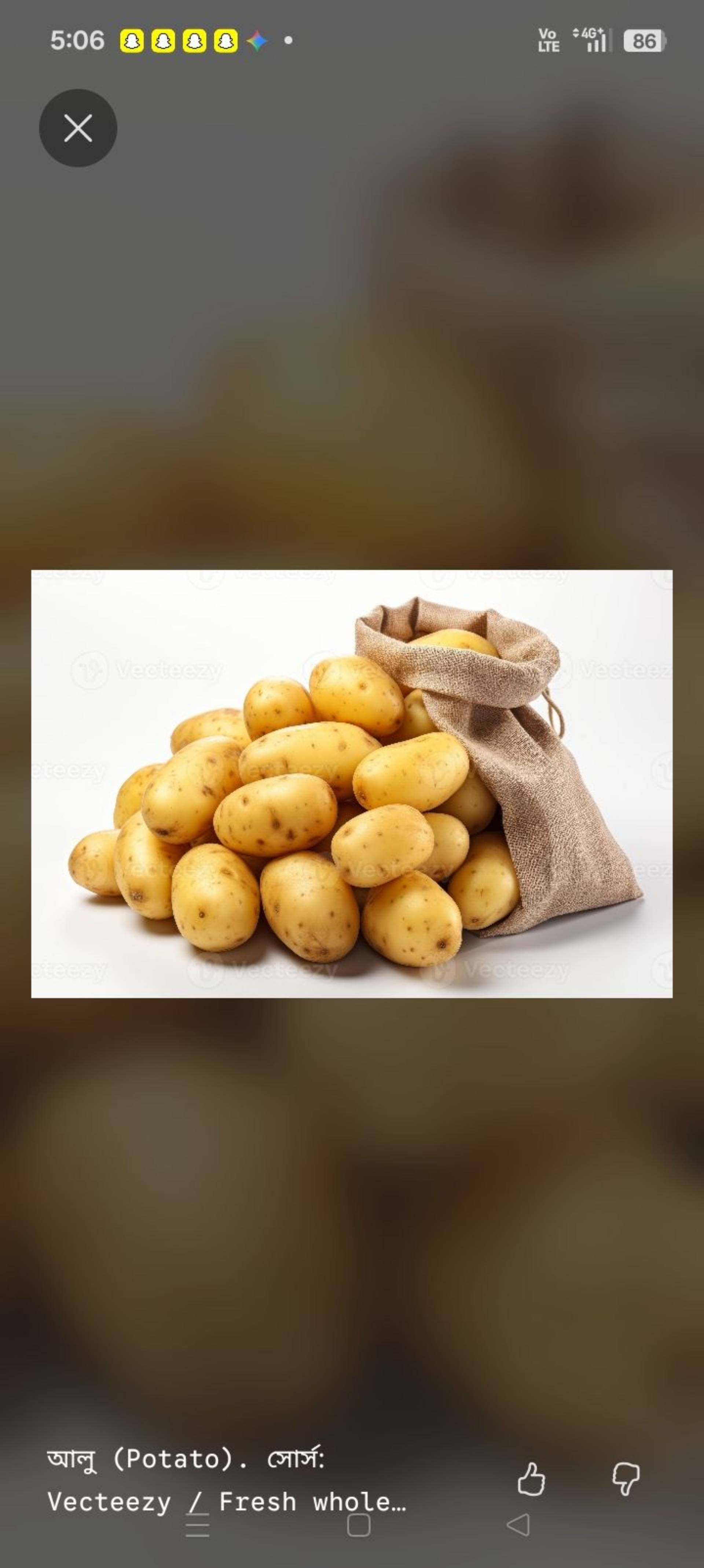 আলু (কেজি )_0
