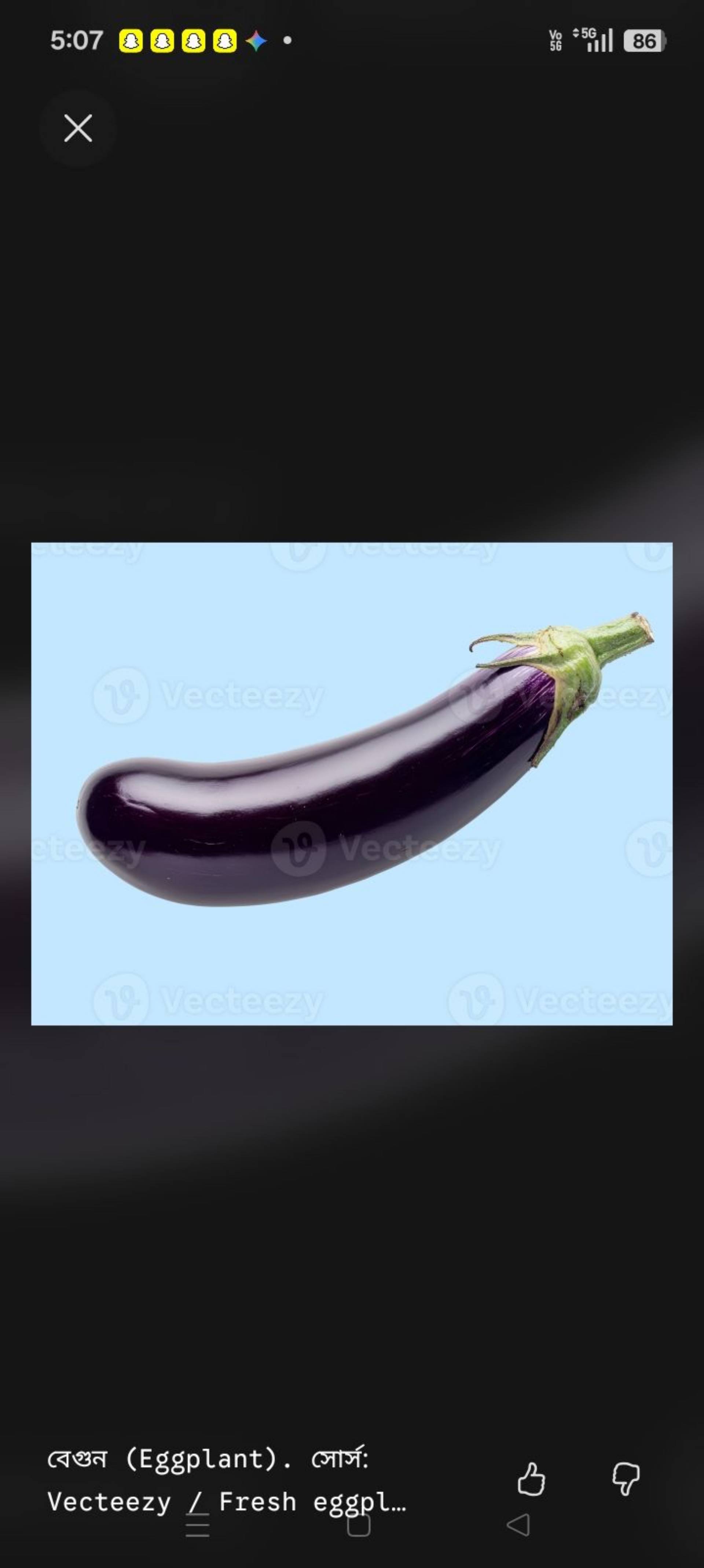 বেগুন (৫০০গ্রাম )_0
