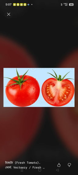 টমেটো (৫০০গ্রাম )