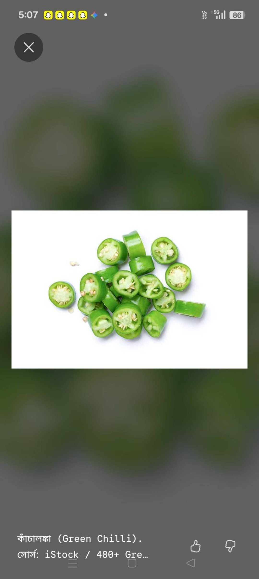 লঙ্কা (১০০গ্রাম )