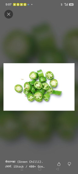 লঙ্কা (১০০গ্রাম )