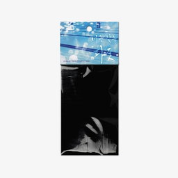 Surge Towards You - Collection Photocards (random)