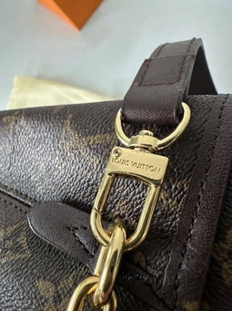Lv monogram brown 
