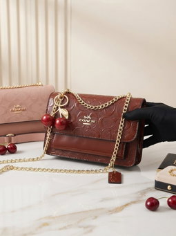 Coach chained brown 