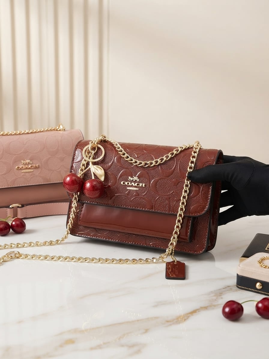 Coach chained brown