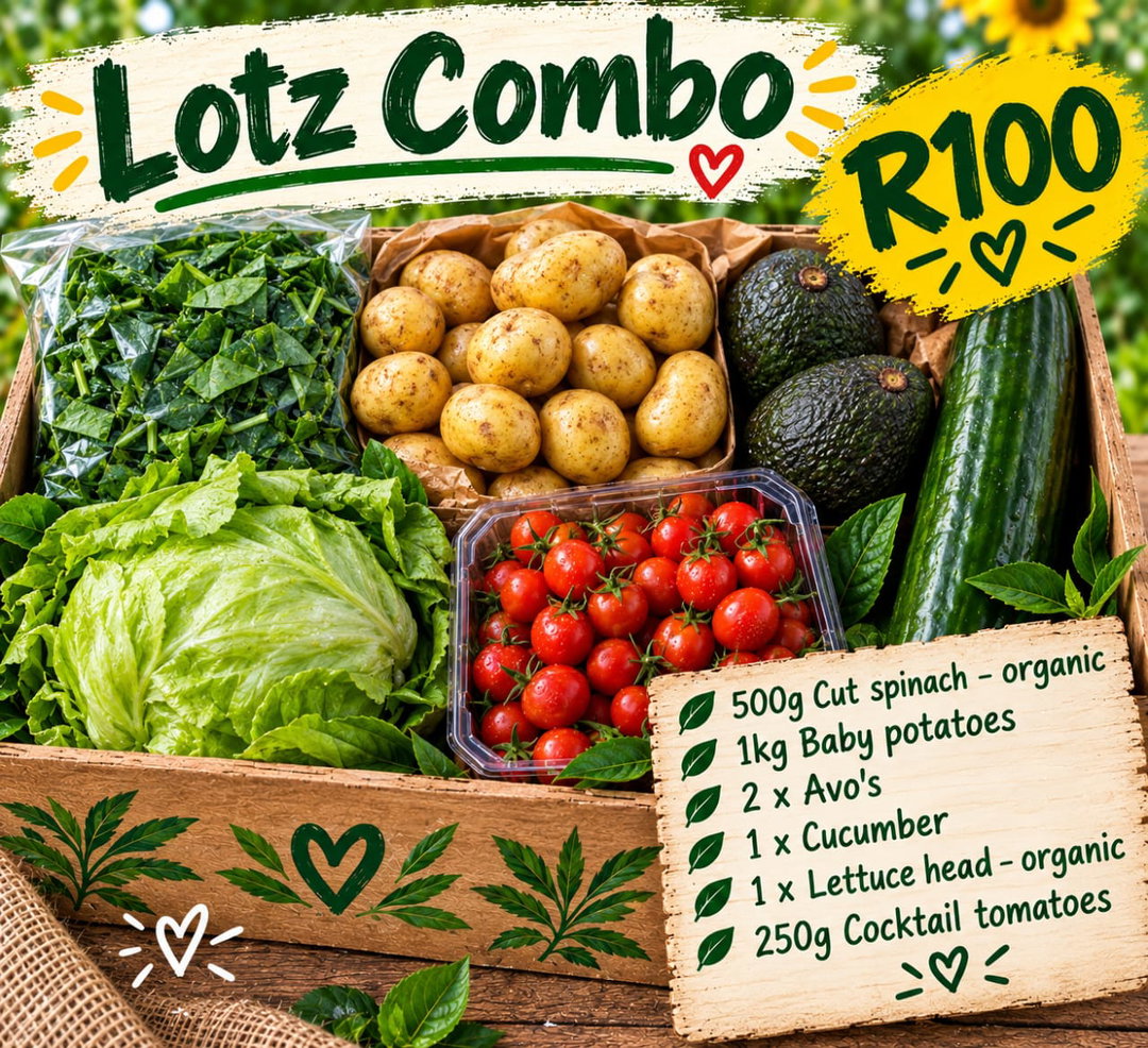 LOTZ combo