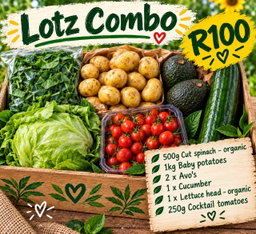 LOTZ combo