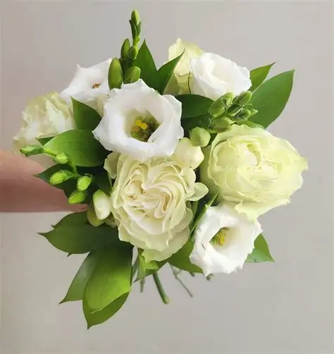 Presentation / Arm Sheaf