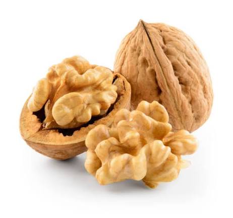 Walnut 
