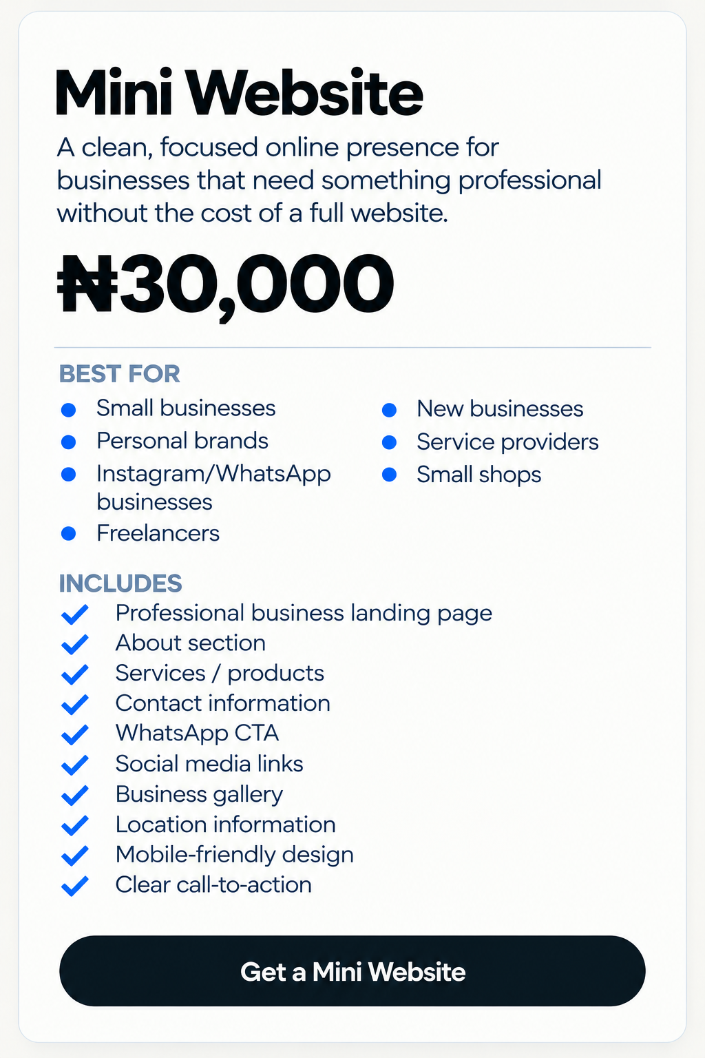 Mini Business Website 