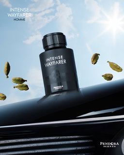 INTENSE WAYFARER 