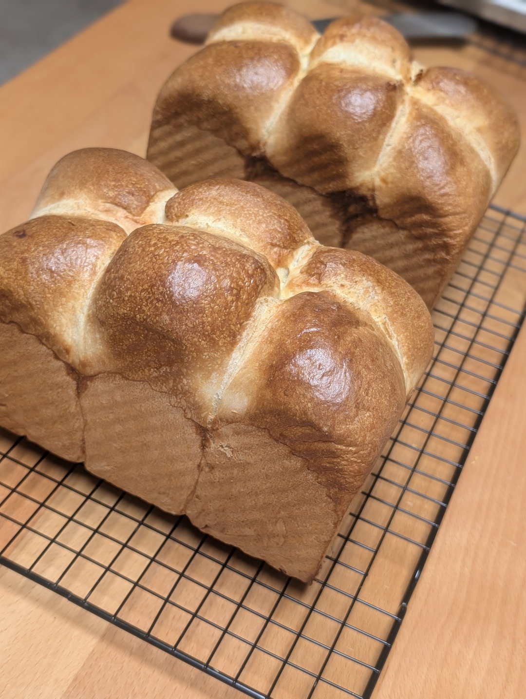Sourdough Brioche Loaf