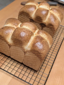 Sourdough Brioche Loaf