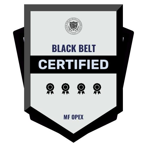 Consultant (Lean Six Sigma Black Belt) to write procedures