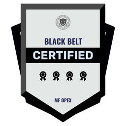 Consultant (Lean Six Sigma Black Belt) to write procedures