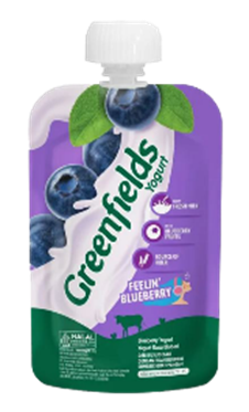 Greenfields Yogurt Pouch Blueberry- 110g