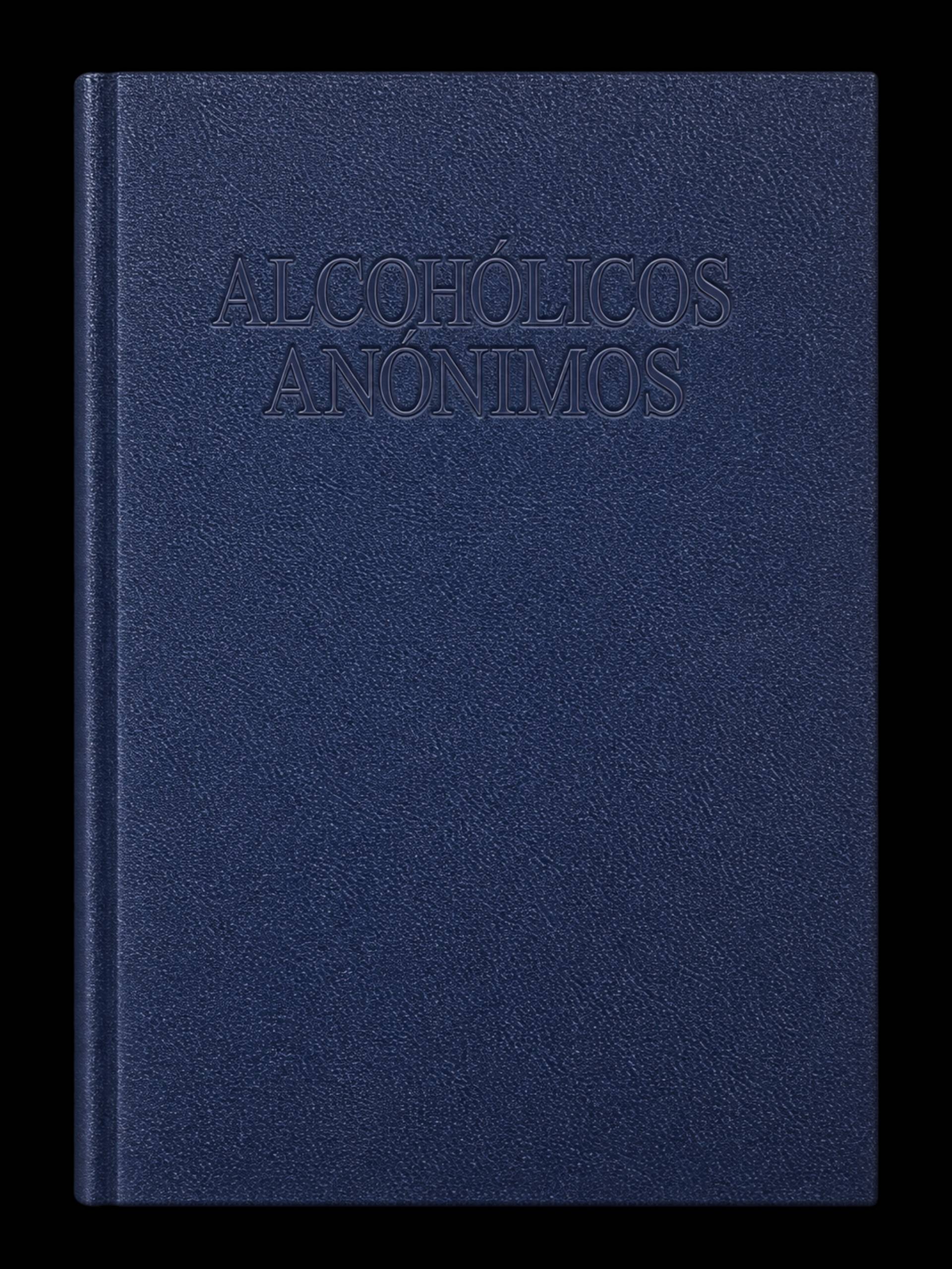 Libro Azul AA (Tamaño Grande)_0