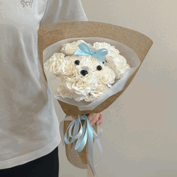 Puppy Love (Soap)