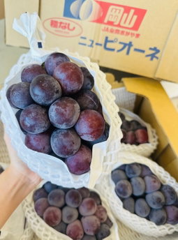 Japan Okayama Pione Grapes