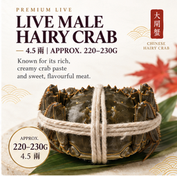 Live Male Hairy Crab (公蟹) – 4.5两 | Approx. 220–230g