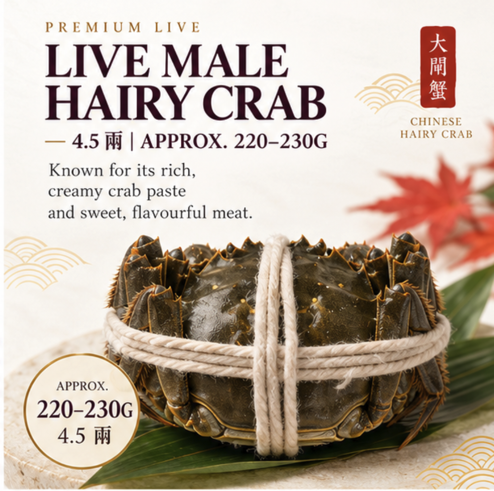 Live Male Hairy Crab (公蟹) – 4.5两 | Approx. 220–230g