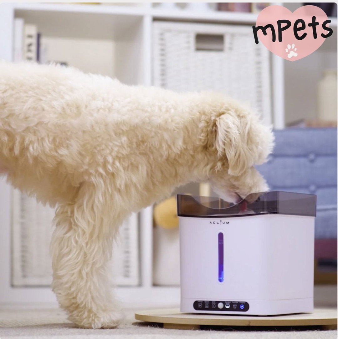 [mPets] Aclium Aclium Cordless Dog Water Fountain [LOCAL SG DELIVERY]