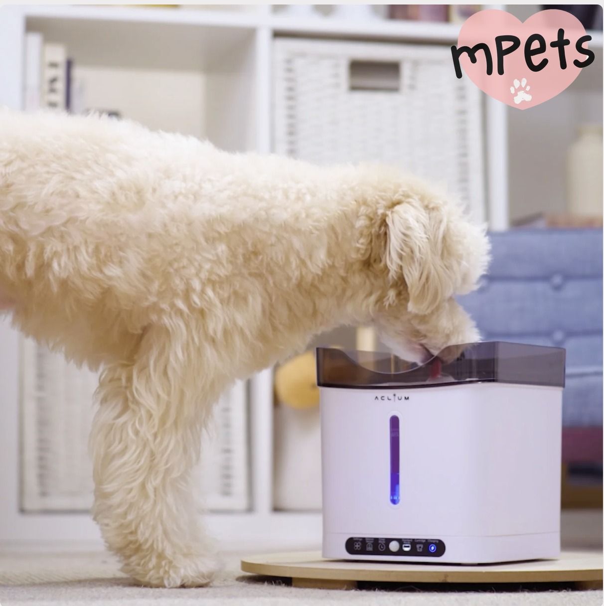 [mPets] Aclium Aclium Cordless Dog Water Fountain [LOCAL SG DELIVERY]_0