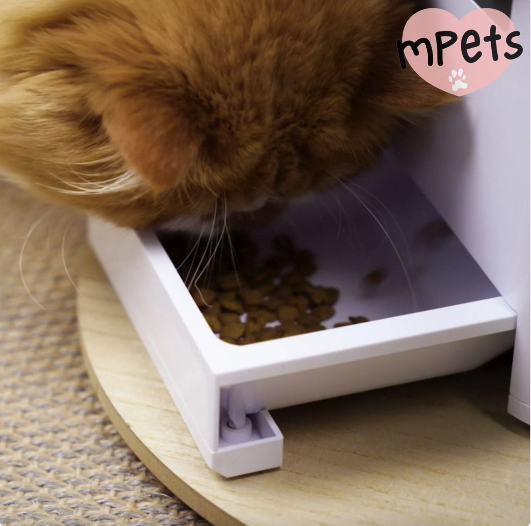 [mPets] Aclium Aclium Automatic Airtight Pet Feeder [LOCAL SG DELIVERY]