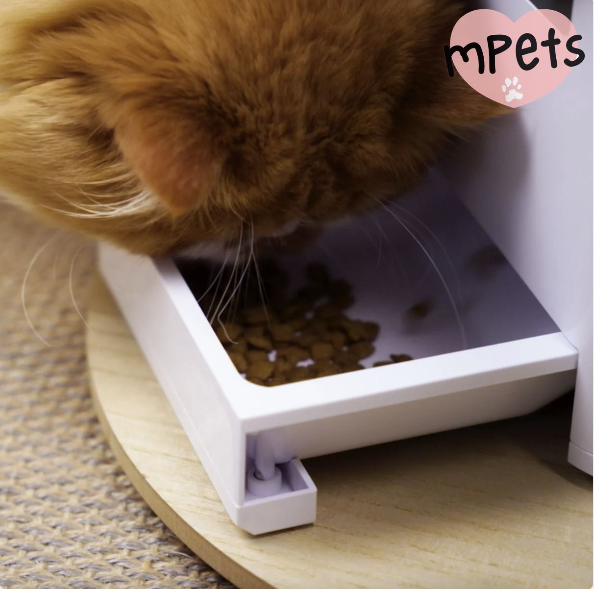[mPets] Aclium Aclium Automatic Airtight Pet Feeder [LOCAL SG DELIVERY]_0