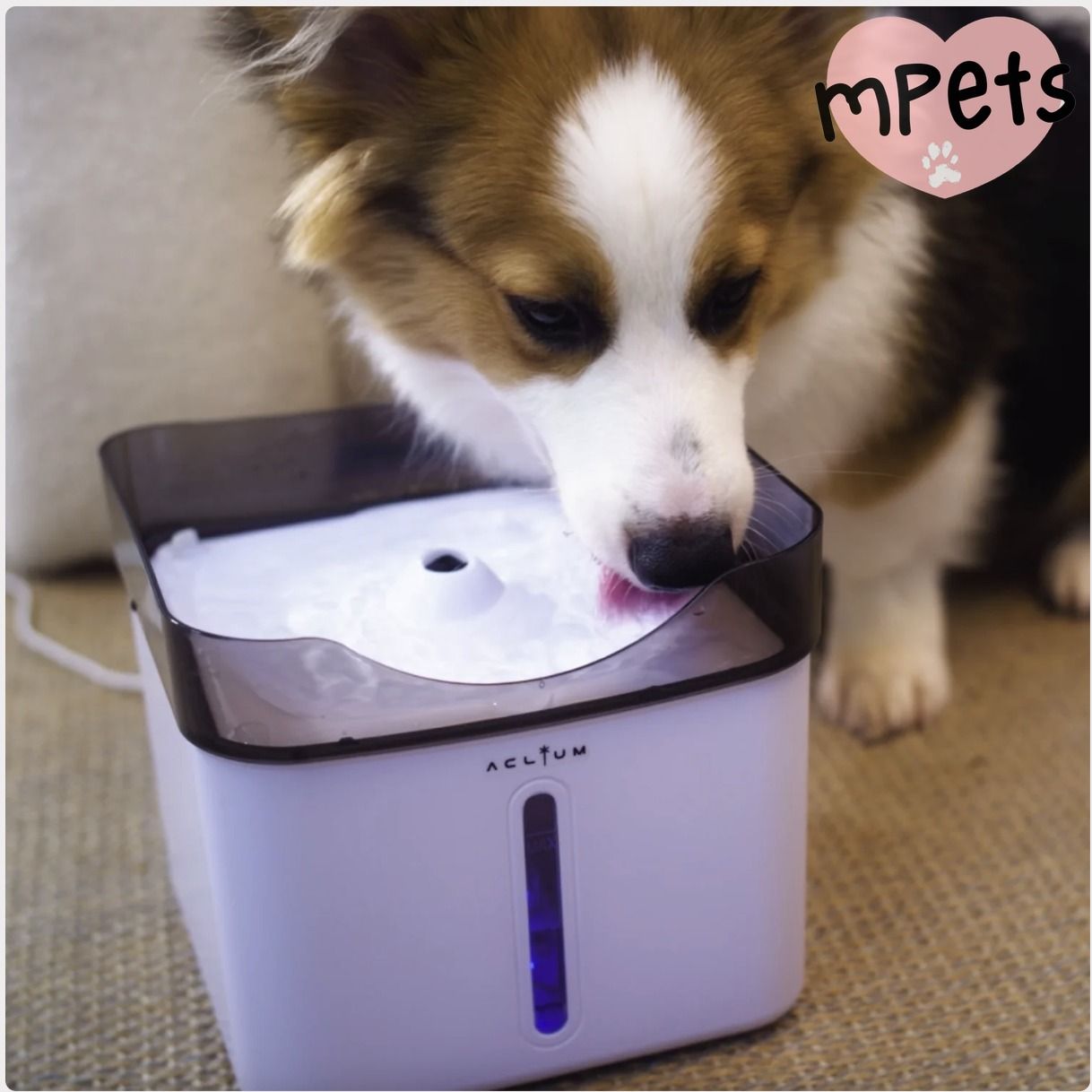 [mPets] Aclium Dog Water Fountain [LOCAL SG DELIVERY]_0