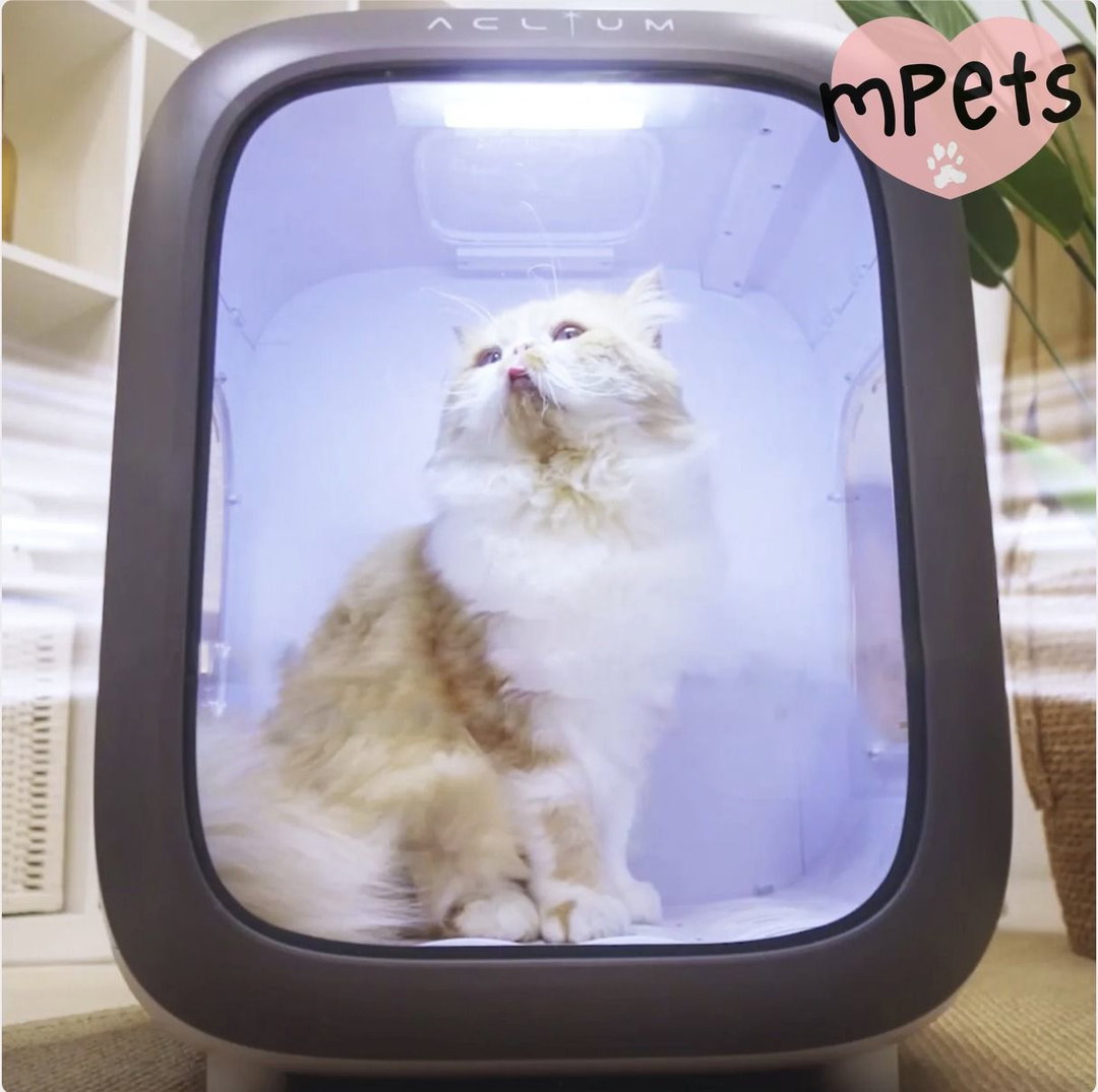 [mPets] Aclium Pet Dryer [LOCAL SG DELIVERY]