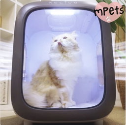 [mPets] Aclium Pet Dryer [LOCAL SG DELIVERY]