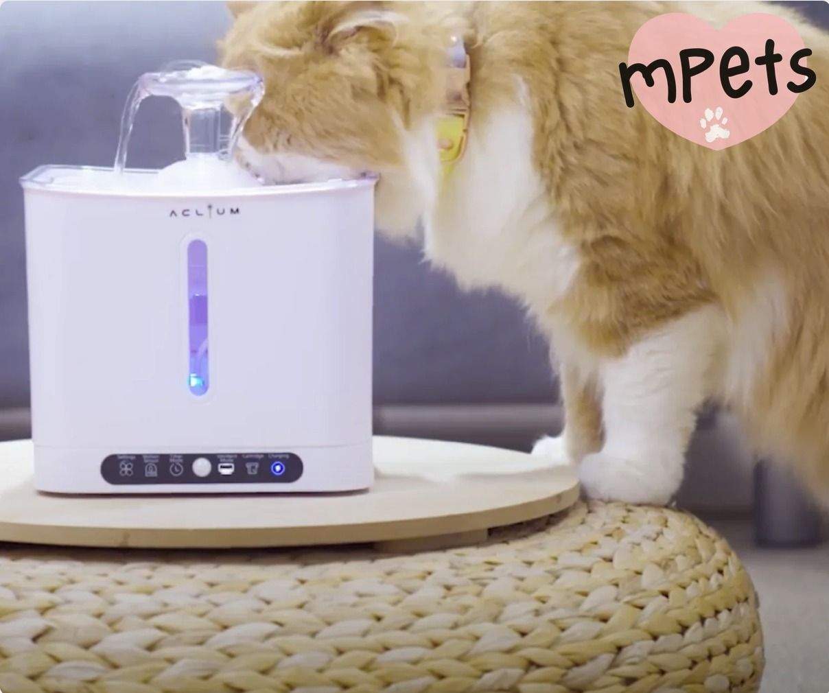 [mPets] Aclium Cat Water Fountain - Cordless [LOCAL SG DELIVERY]_0
