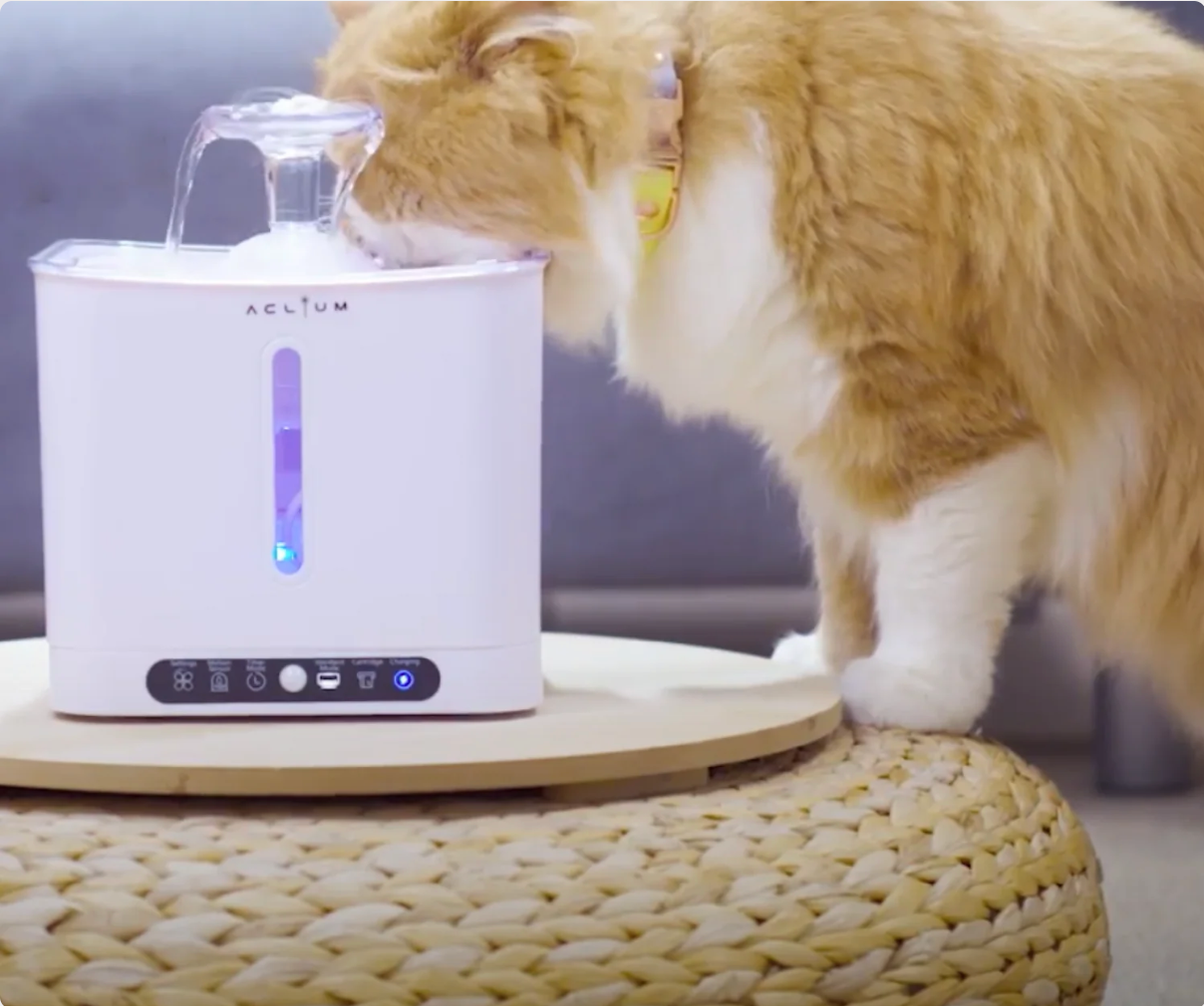 [mPets] Aclium Cat Water Fountain - Cordless [LOCAL SG DELIVERY]_2