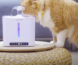 [mPets] Aclium Cat Water Fountain - Cordless [LOCAL SG DELIVERY]