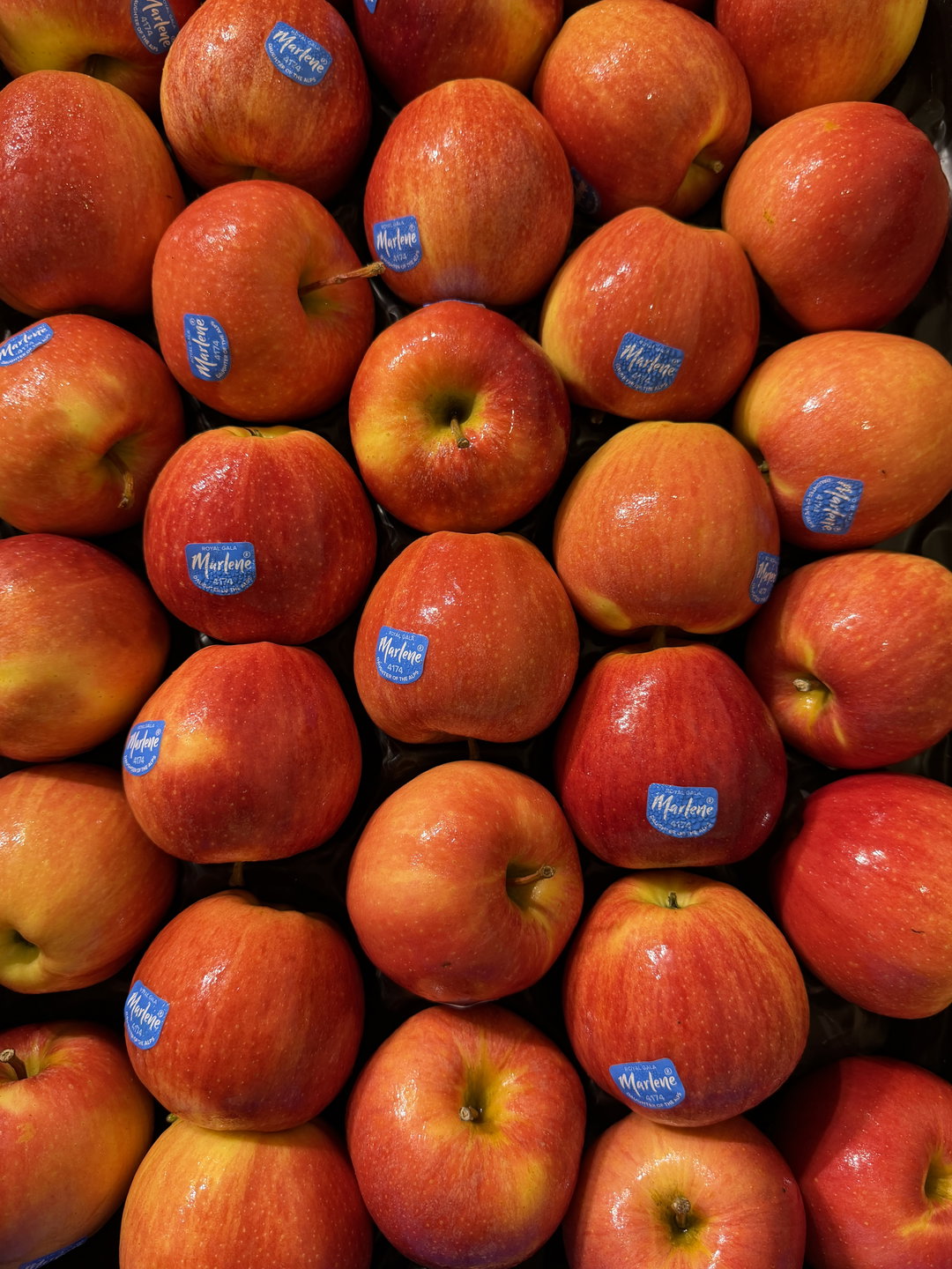 Premium Italian Apples x 1