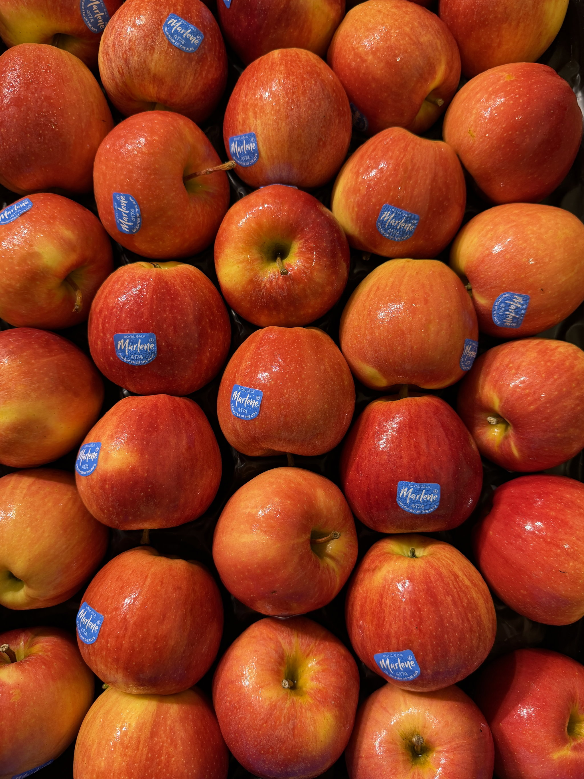 Premium Italian Apples x 1_0