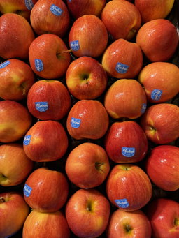 Premium Italian Apples x 1